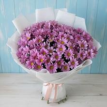 Букет цветов из:  Хризантемы в Приазовской