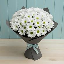 Букет цветов из:  Хризантемы в Приазовской