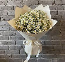 Букет цветов из:  Ромашки #REPLACE_PRED# Приазовской