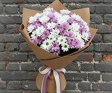 Букет цветов из:  Хризантемы #REPLACE_PRED# Приазовской