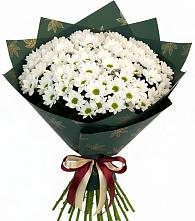 Букет цветов из:  Хризантемы в Приазовской