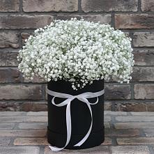 Цветочная композиция из Гипсофила в шляпной коробке #REPLACE_PRED# Приазовской